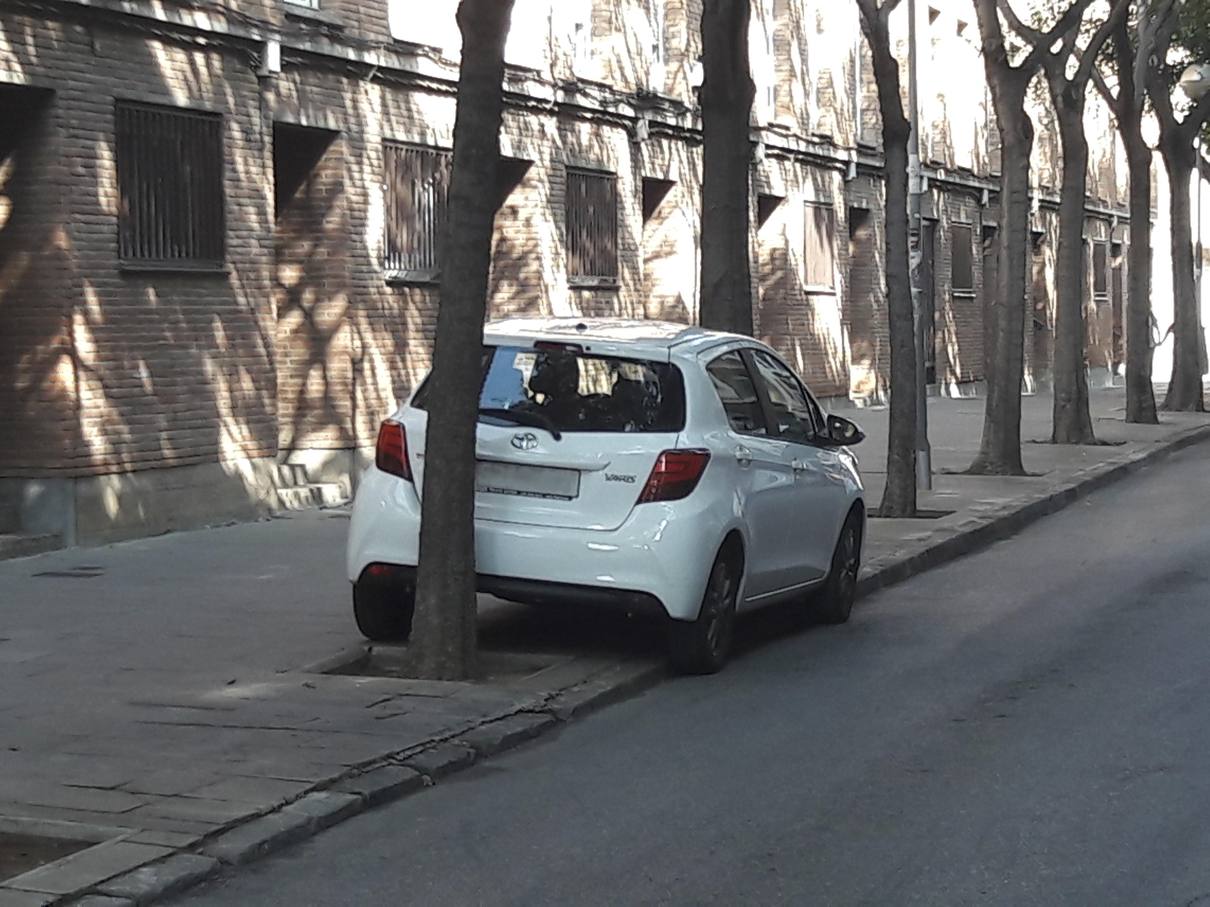 Contra les pilones, un cotxe troba un forat entre arbres