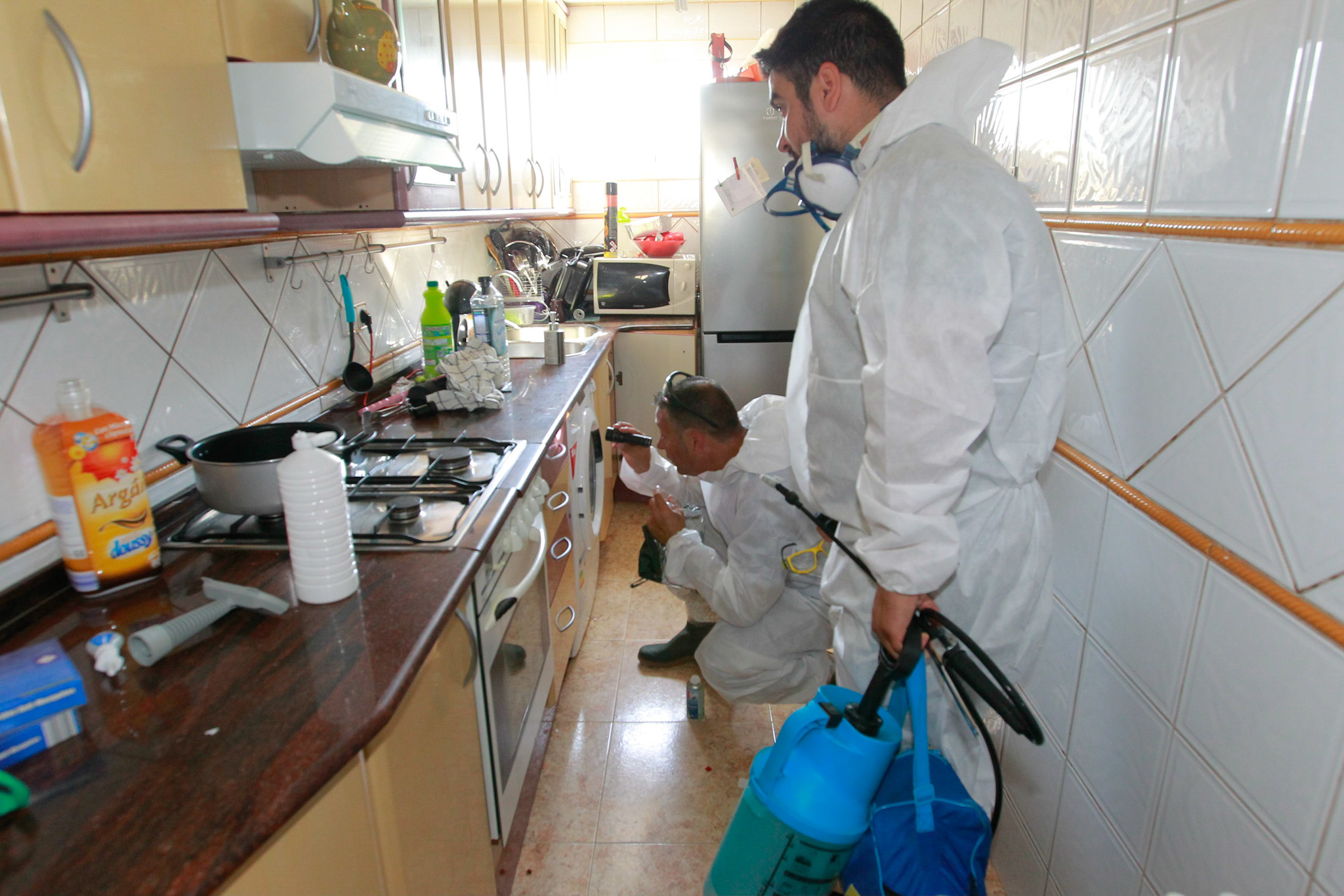 L'empresa de l'Ajuntament inspecciona els pisos afectats per la plaga de xinxes