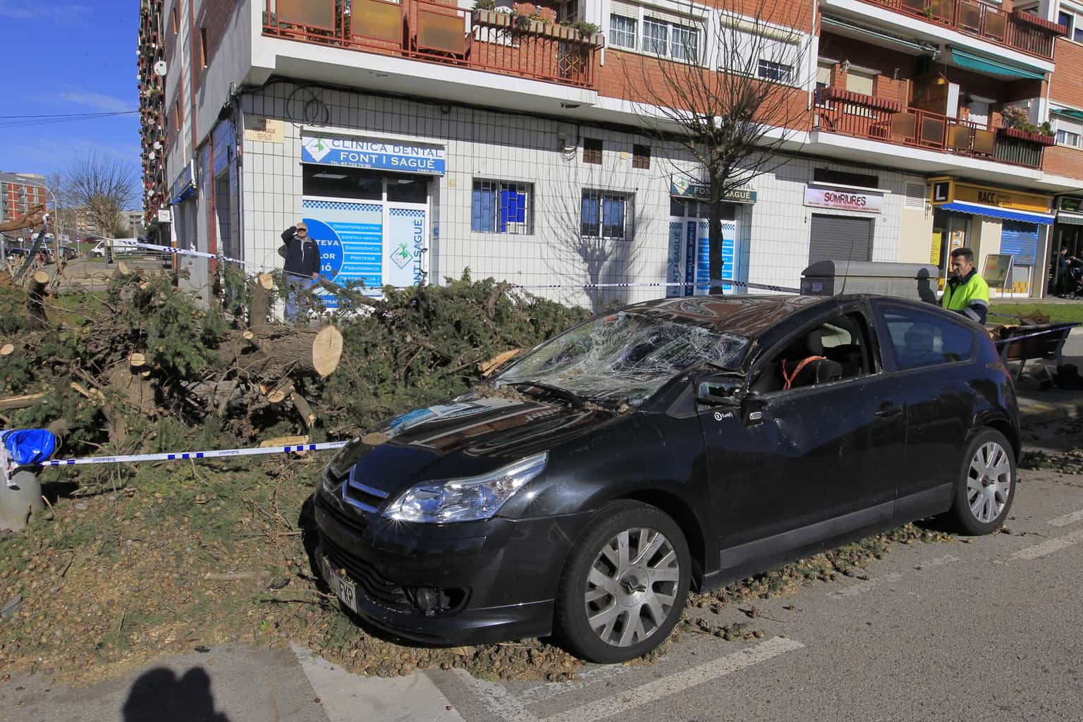 El fort vent arrenca una dotzena d’arbres al Bosc de Can Deu