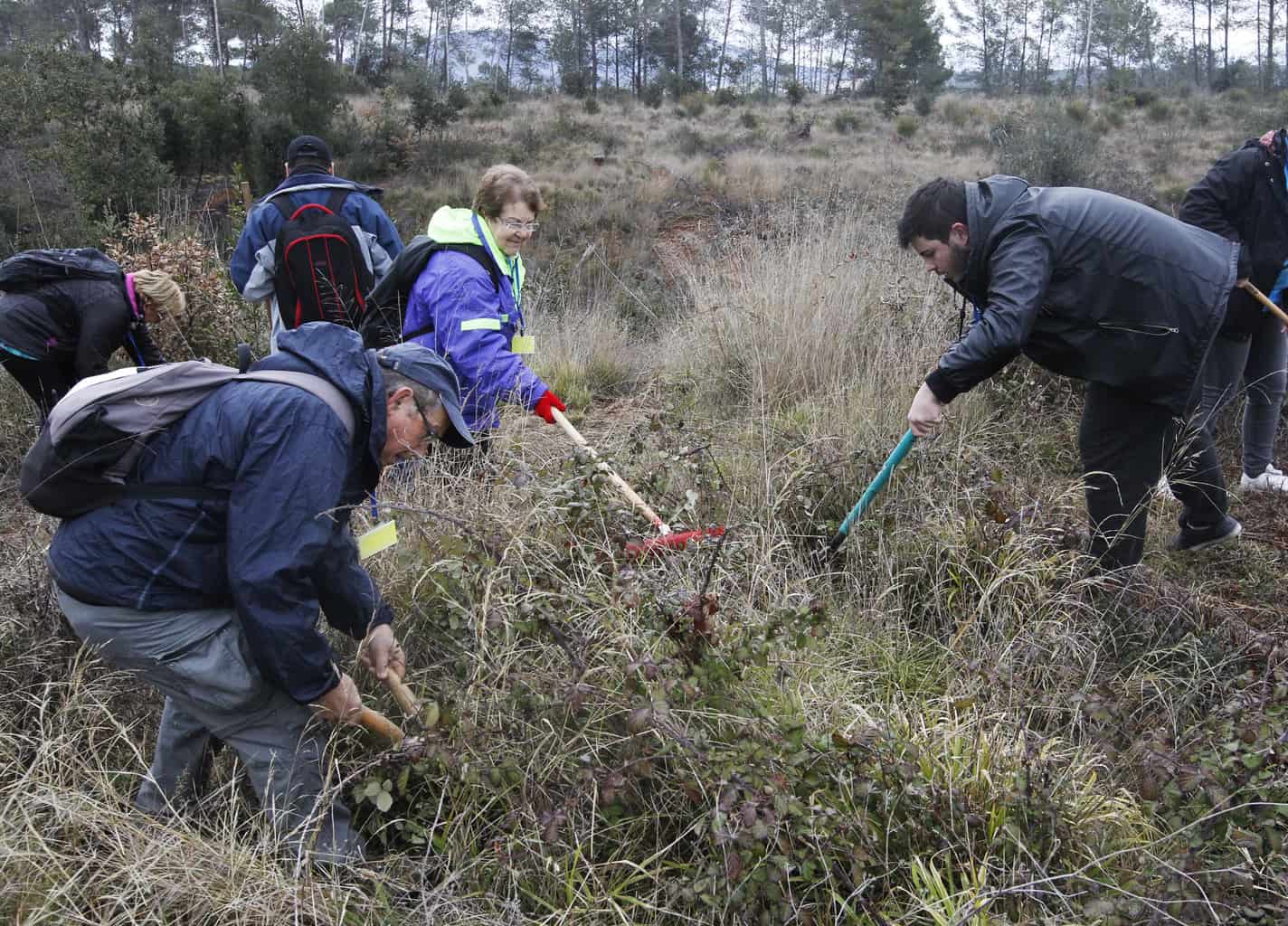 Mig centenar de voluntaris treballen al bosc de Can Deu tot i el mal temps