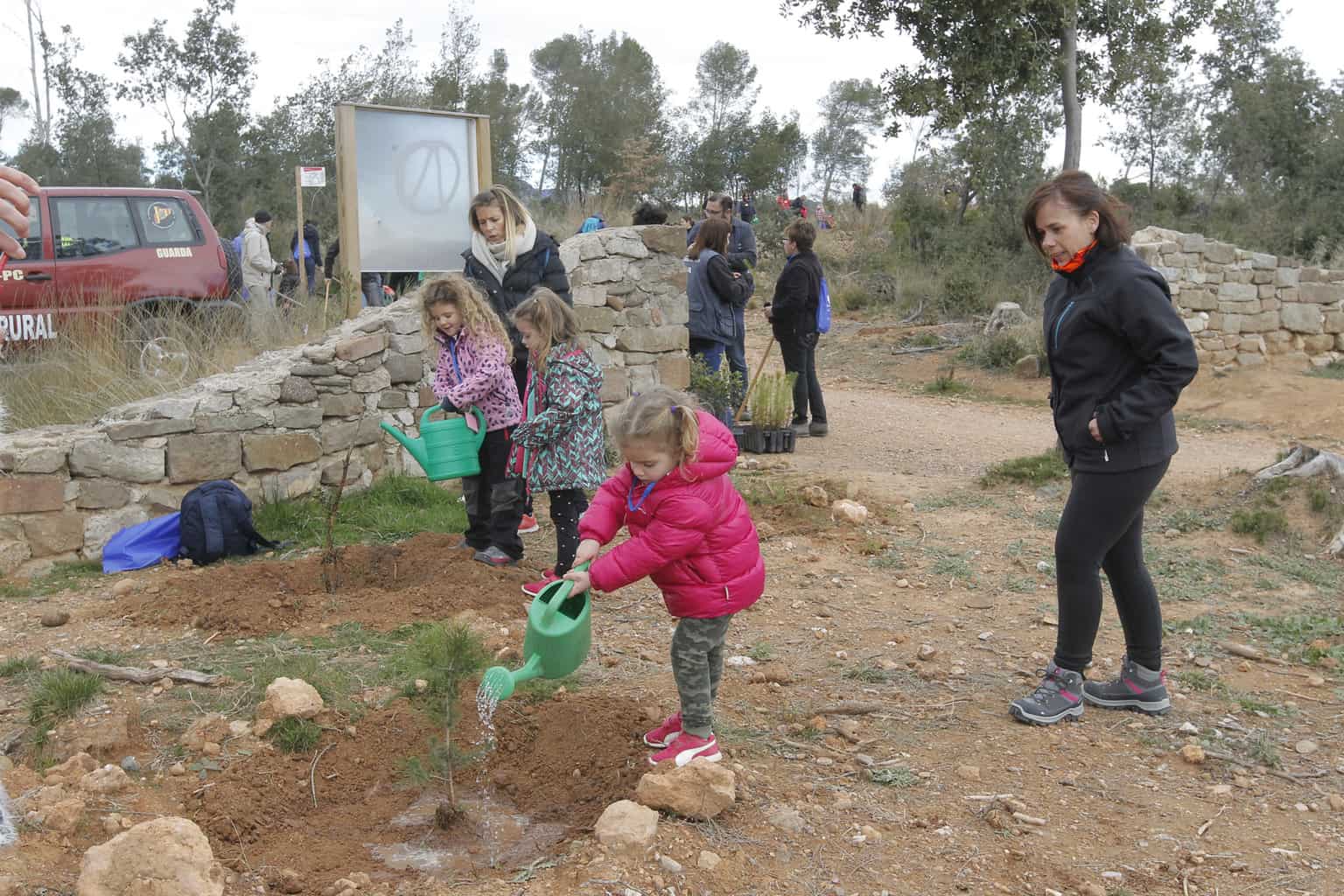 Nova crida ciutadana per ajudar en la recuperació del Bosc de Can Deu