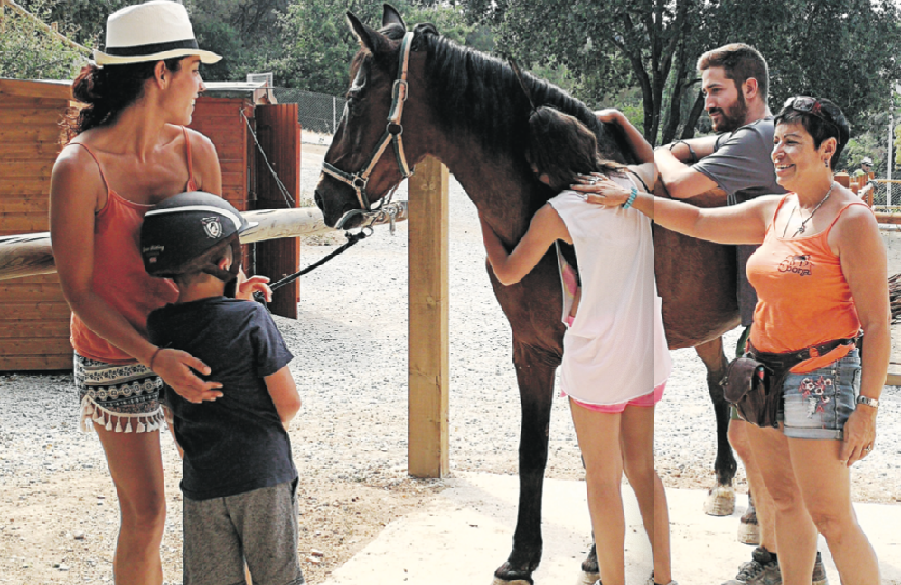 Teràpia amb cavalls per a joves