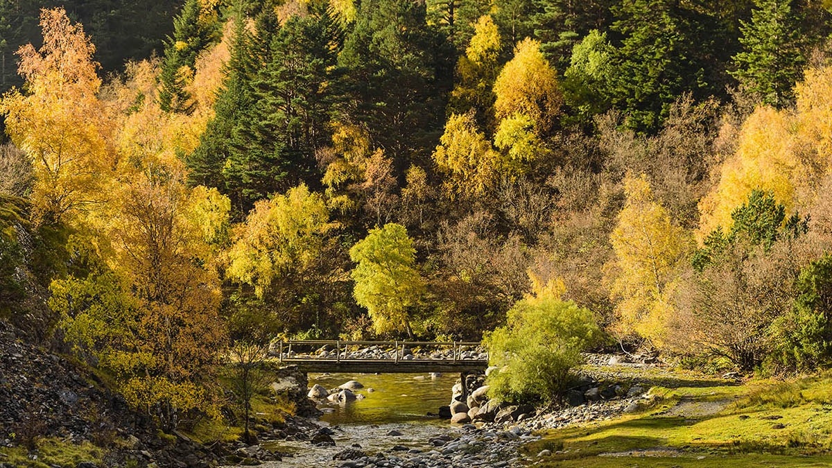 La vall de Siarb, la perla desconeguda del Pallars Sobirà que té el cor robat a Sara Roy