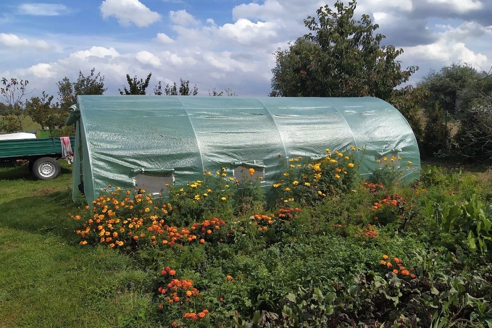 Alimentació saludable: hàbits conscients i el retorn a la terra
