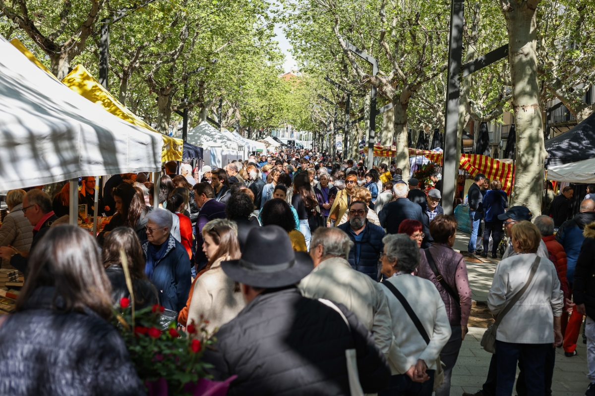 Sant Jordi a Olot - Martí Albesa