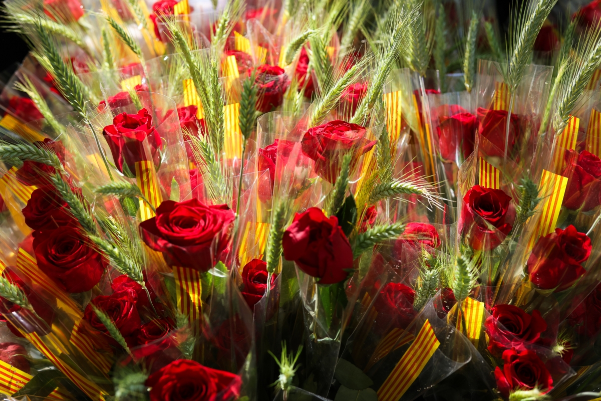 Sant Jordi a Olot - Martí Albesa Sant Jordi a Olot