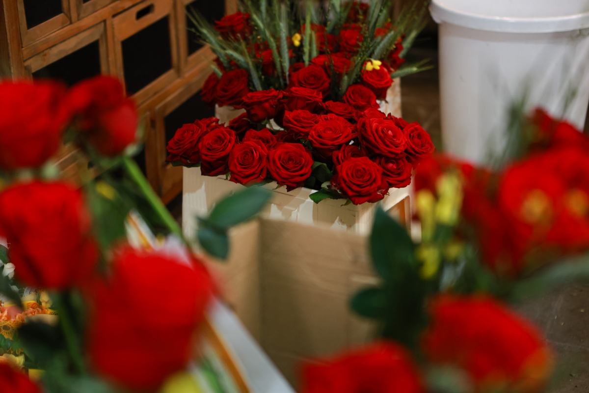 Roses de Sant Jordi a Sabadell