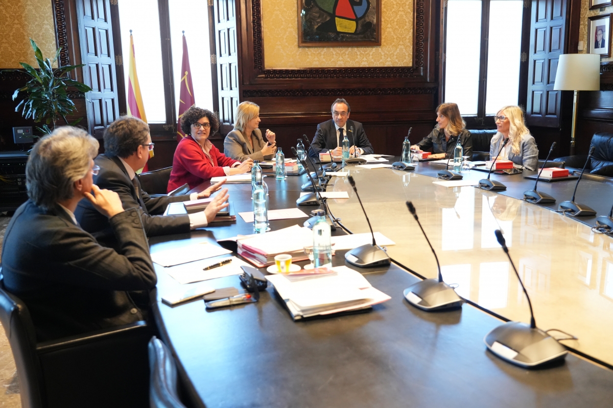 El Parlament designarà un gabinet de crisi de cara a futures emergències com l'apagada elèctrica