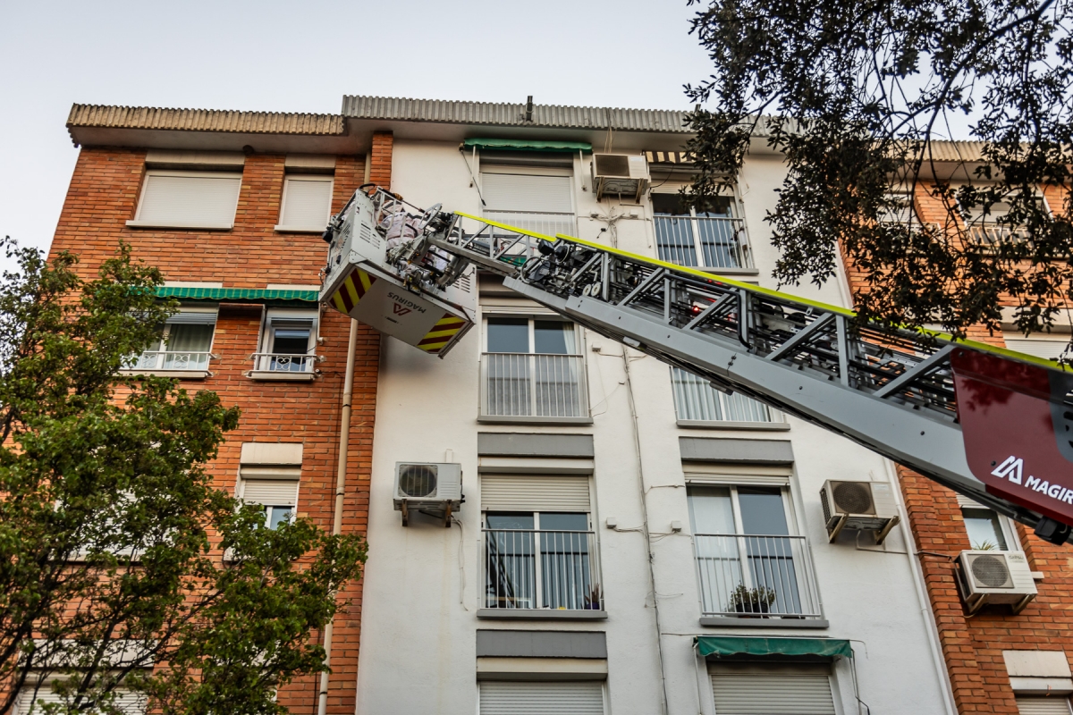 Actuació de Bombers per un eixam d'abelles a Sabadell - Juanma Peláez