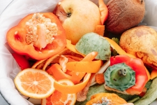 Cada llar malgasta 330 euros a l'any amb aliments que acaba llençant