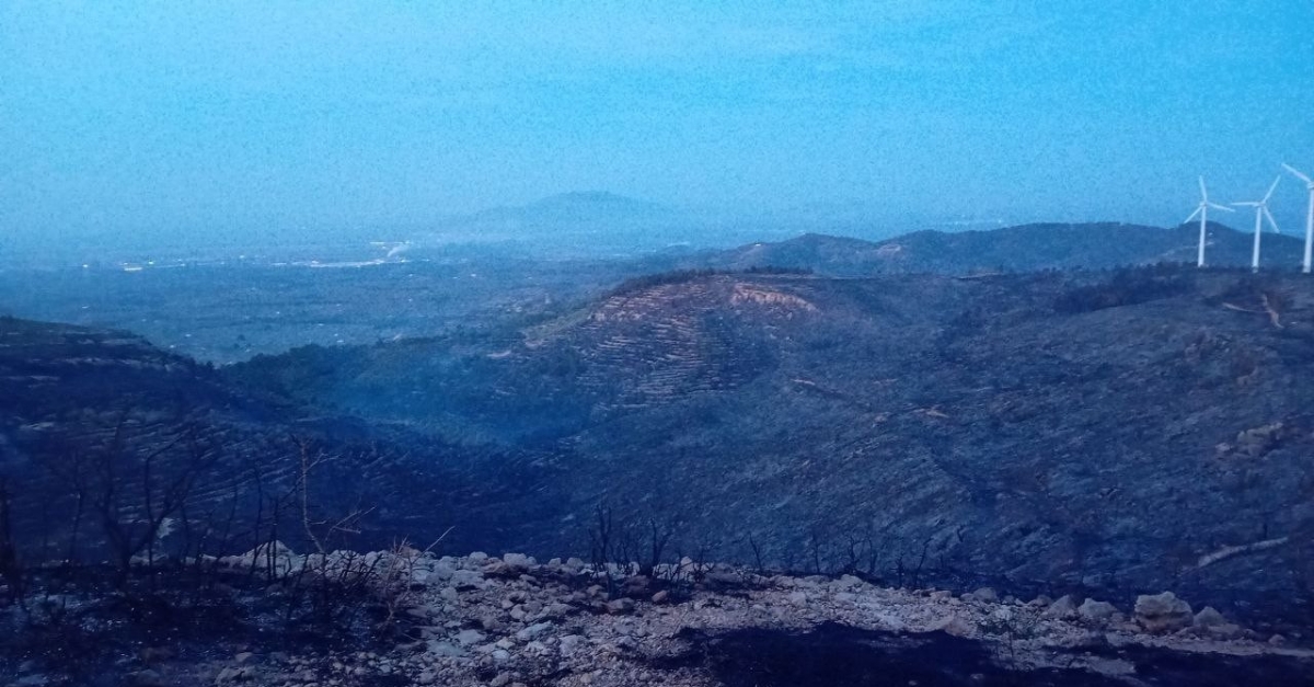 El foc va devorar prop de 90 hectàrees a la zona del Coll de l'Alba, entre Tortosa i el Perelló - Bombers de la Generalitat