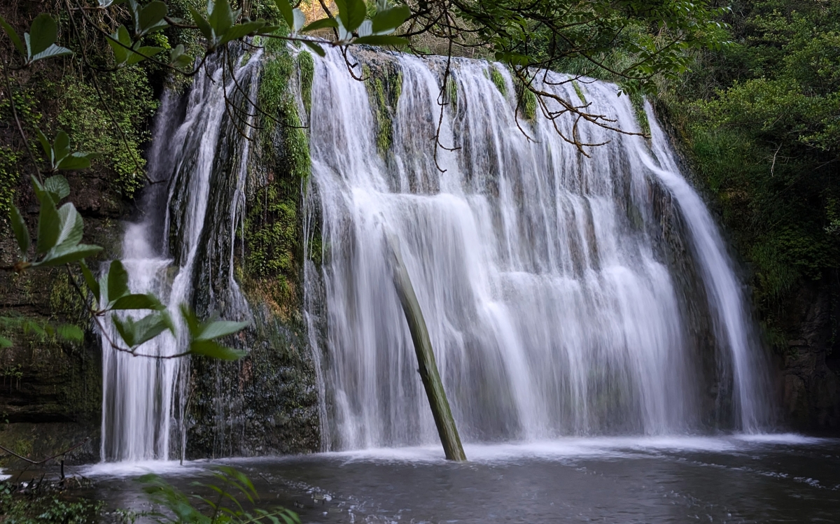 La riera de Sorreigs, a Santa Cecília de Voltregà: primavera 2025 a Osona. - La riera de Sorreigs, a Santa Cecília de Voltregà: primavera 2025 a Osona.