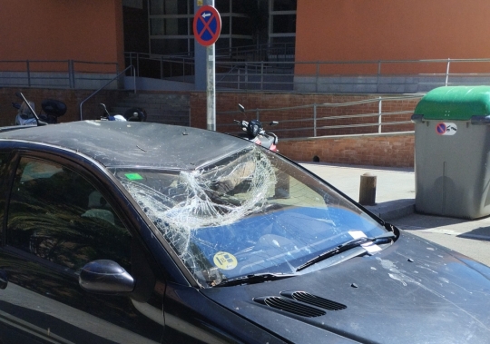 Segona incidència a causa de la caiguda d'un niu de cotorres a Terrassa