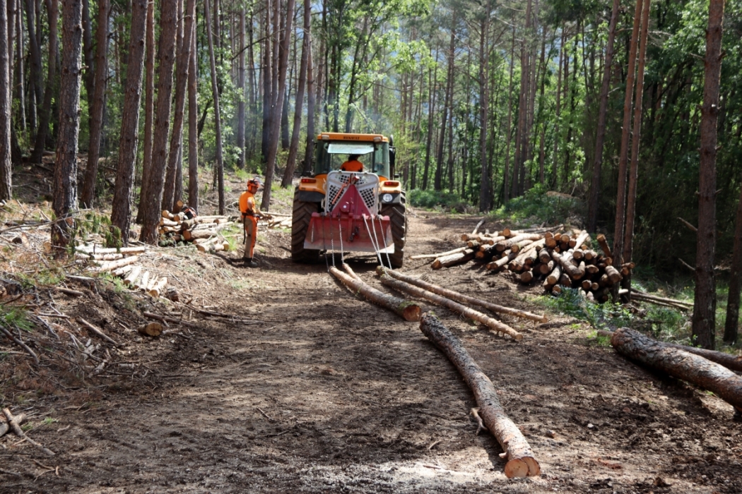 El 64% del territori català és forestal i només un terç es gestiona de manera planificada