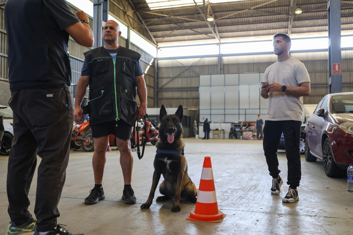 Entrenament de la unitat canina de la Policia Municipal de Sabadell - VÍCTOR CASTILLO