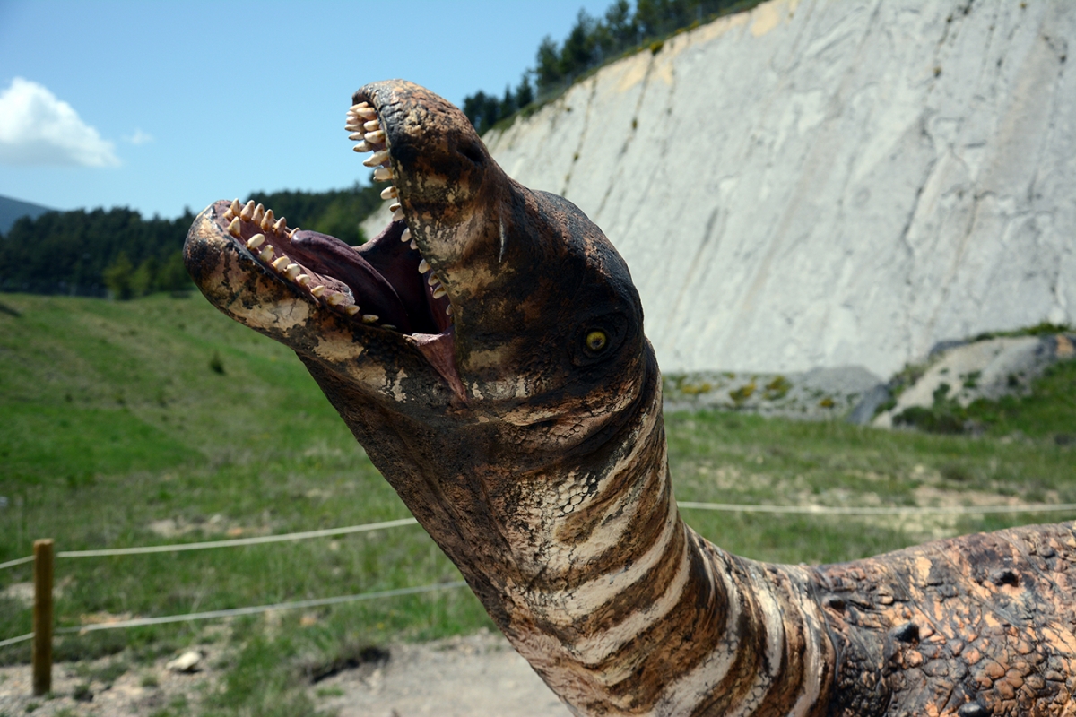 Detall del cap del titanosaure petit instal·lat a Fumanya - Museu de les Mines de Cercs / Dinosaures Fumanya