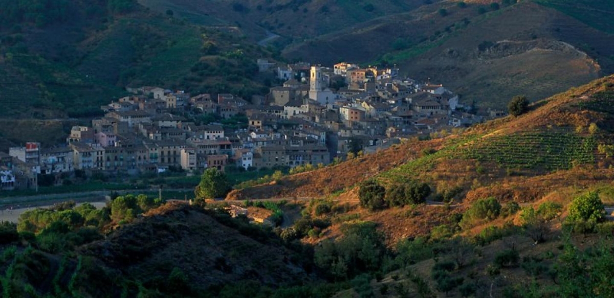 Imatge del municpi del Baix Camp - Turisme Priorat