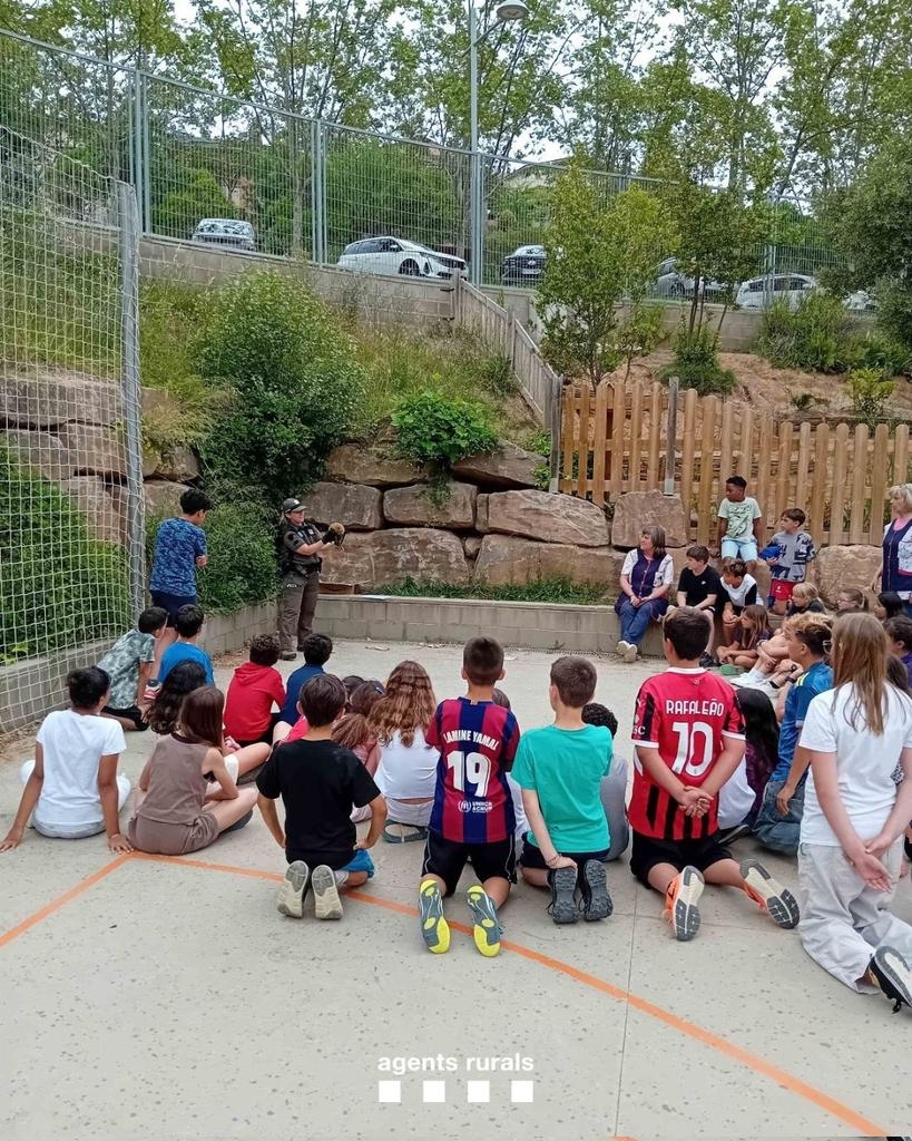 La mainada observant la retirada dels eriçons  - Agents Rurals 
