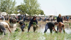 Què fer amb nens i nenes aquest cap de setmana: activitats el 20 i 21 de juny de 2026