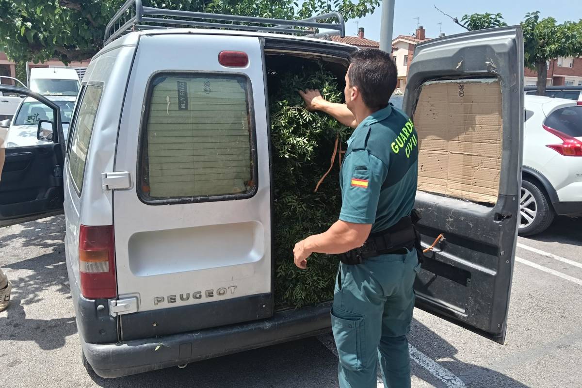 Denuncien tres persones per endur-se 390 quilos de llentiscle d'un espai protegit a la Garrotxa