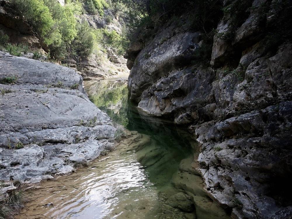Barranc del Bosc - Cedida Barranc del Bosc
