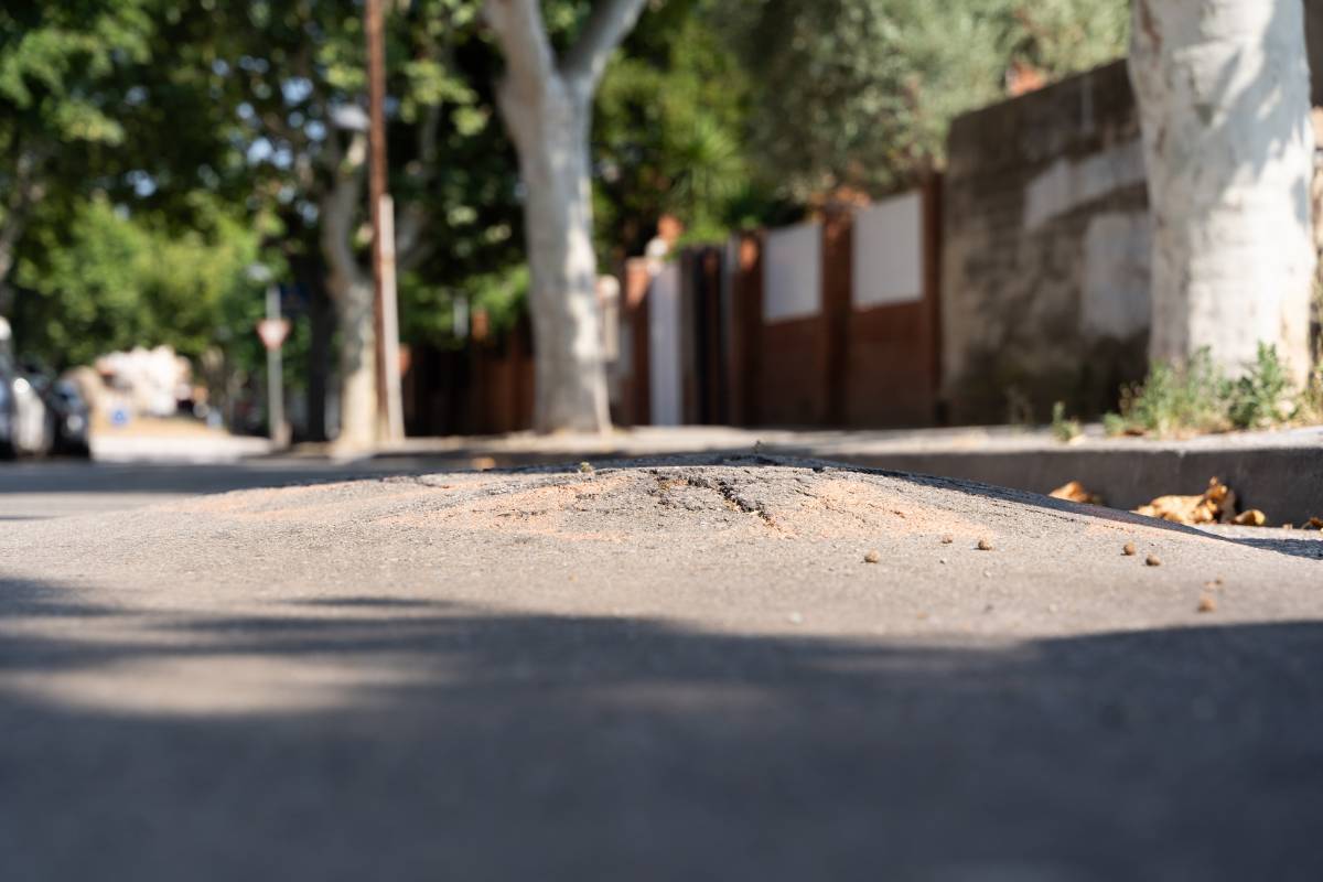 La Bústia de Sant Quirze - D.C