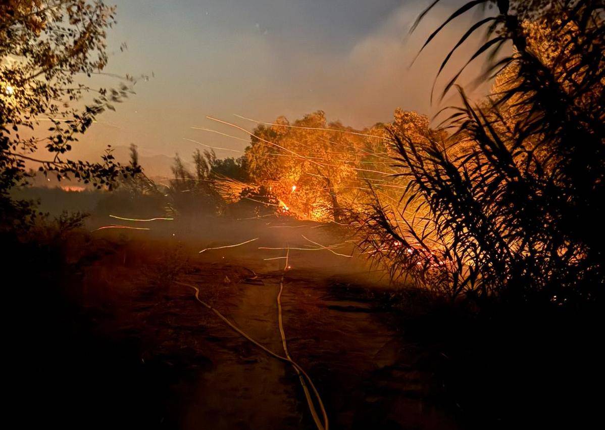 Incendi forestal a les Terres de l'Ebre - Cedida