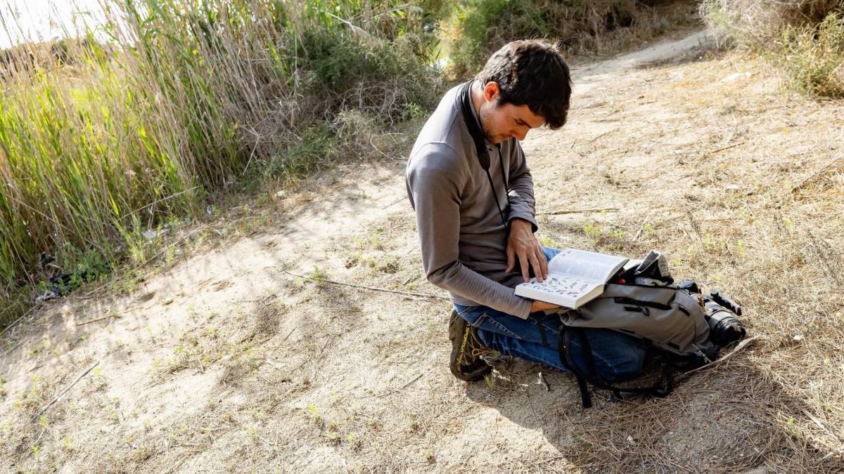 El projecte BioPlatgesMet pretén que la ciutadania contribueixi al seguiment de la biodiversitat a les platges - AMB
