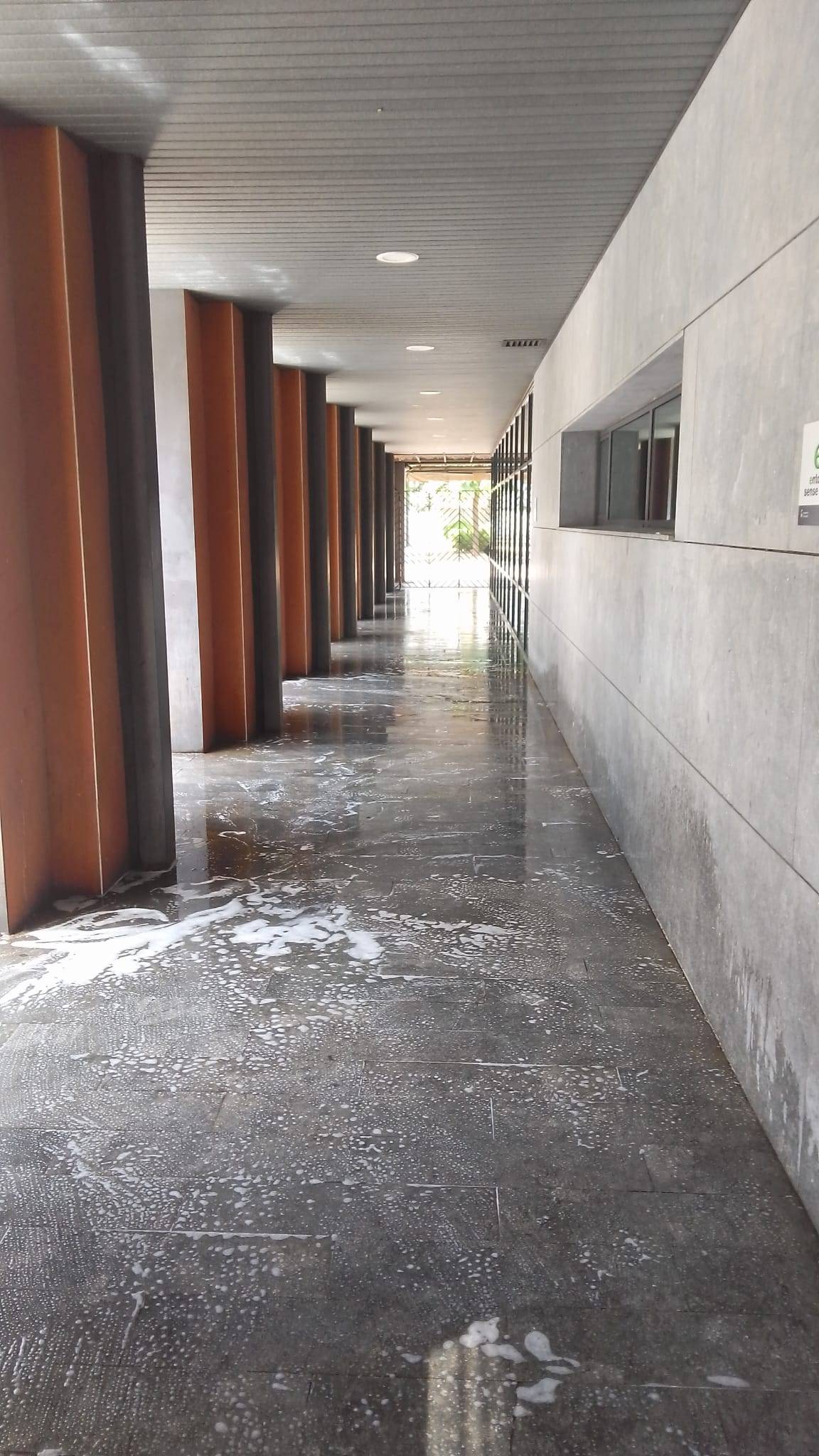 Neteja de deixalles a la biblioteca Vapor Badia - Cedida Neteja de deixalles a la biblioteca Vapor Badia
