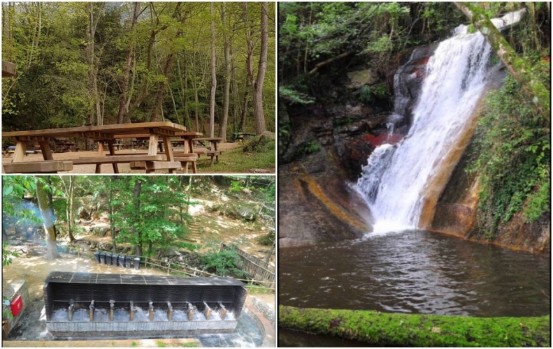 Aquesta àrea de pícnic amb fonts naturals i boscos frondosos és tot un refugi a l'estiu