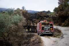 Els 22 municipis en perill extrem d’incendi aquest diumenge
