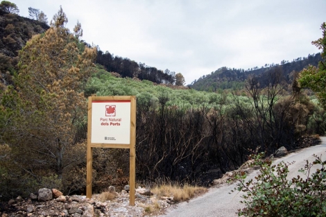 El Govern encarrega ara el pla de prevenció d'incendis al parc natural dels Ports