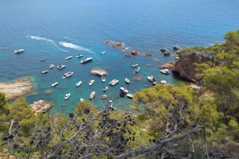 Roben les boies que protegeixen tres cales de la Costa Brava