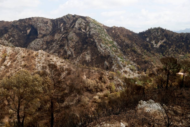 L’incendi de Paüls queda finalment extingit després de cremar més de 3.300 hectàrees