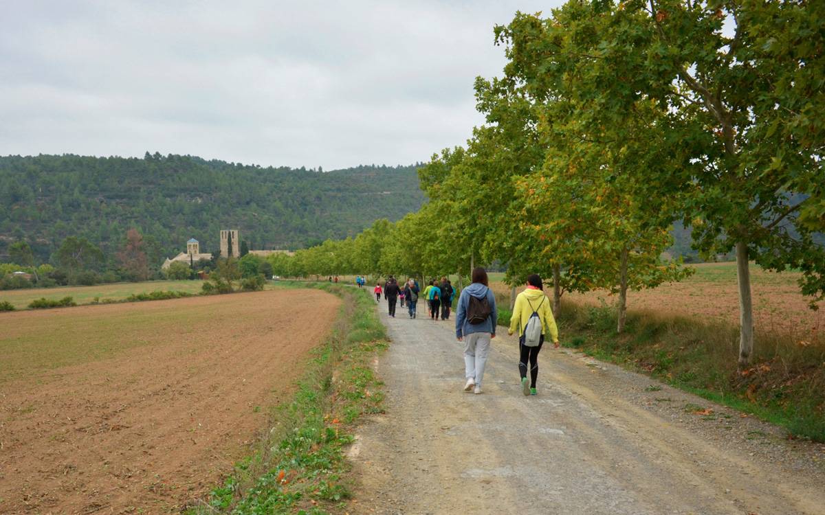 Marxa nocturna per descobrir el patrimoni de Sant Fruitós aquest juliol