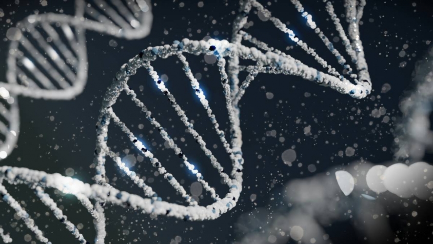 Un gen que fa incurables les infeccions es propaga per tot el món