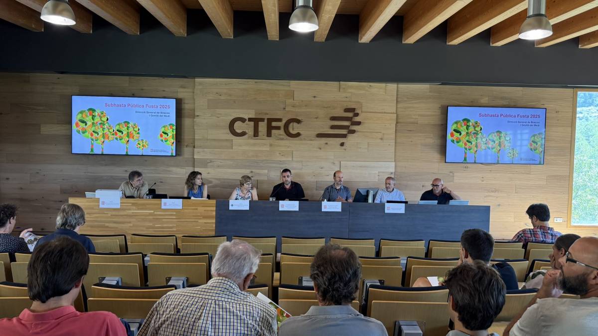 Solsona acull la subhasta de 15.000 tones de fusta dels boscos públics de Catalunya 