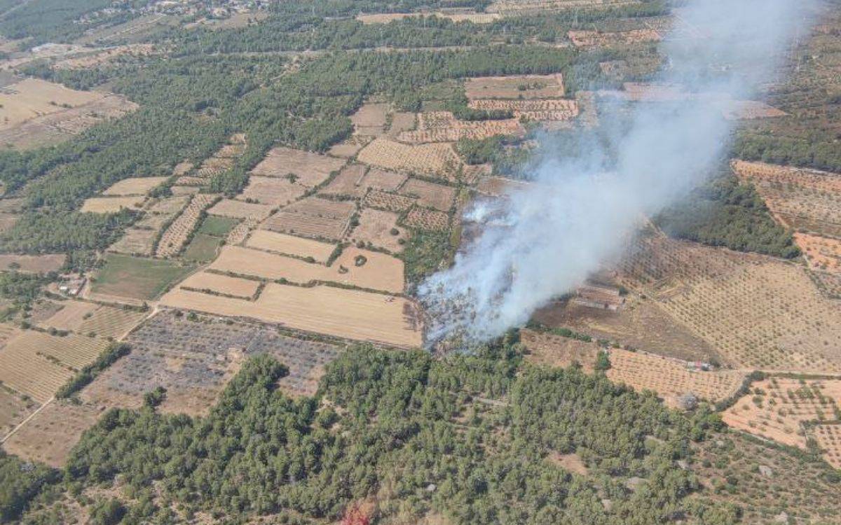 Es declara un incendi en una finca agrícola a l'Alt Camp