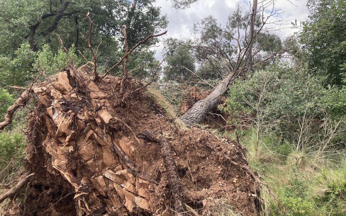 El Meteocat confirma un esclafit al Bages
