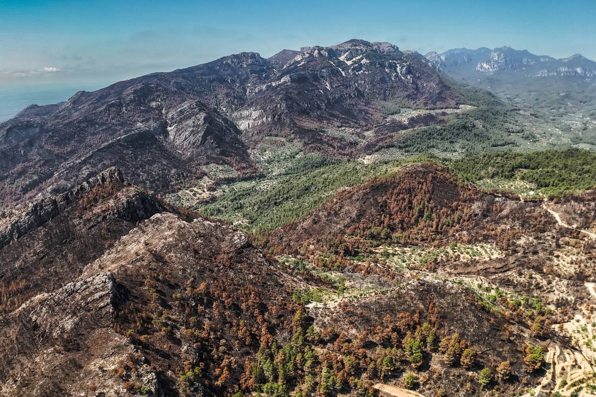 La devastació de l’incendi de Paüls a vista d'ocell
