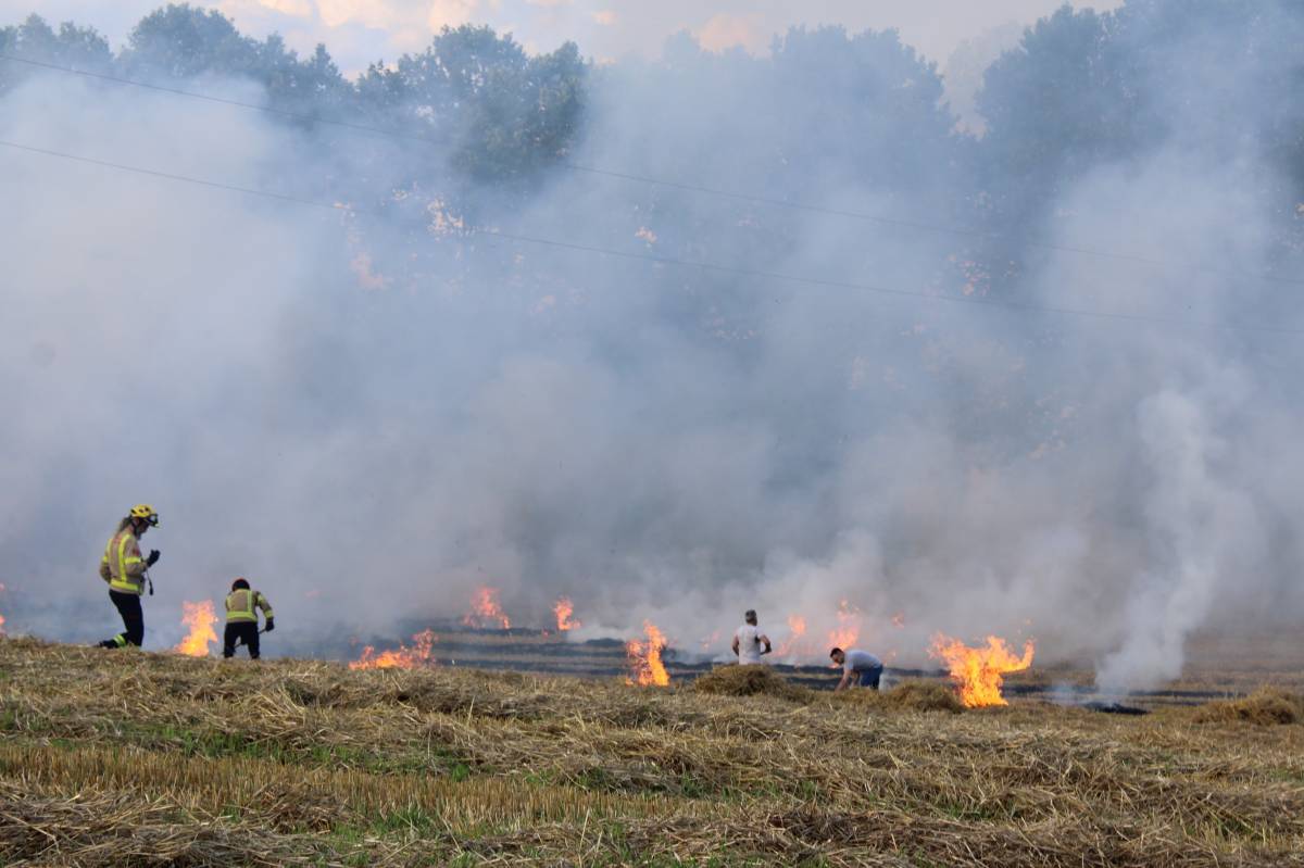 Un incendi agrícola crema 5.000 metres quadrats de rostolls a Solsona 