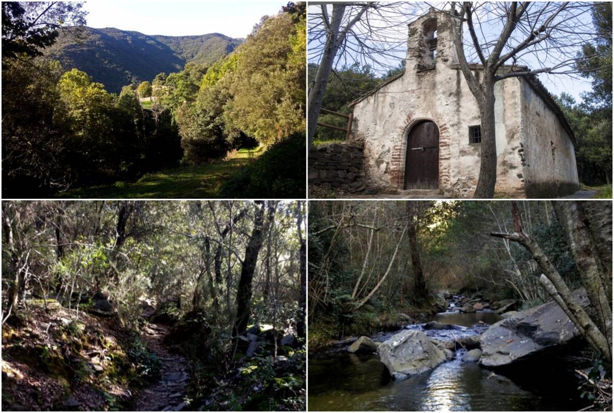 Així és la ruta entre boscos que et porta a l'ermita romànica més antiga del Montseny