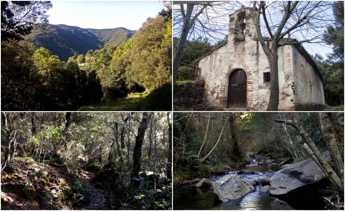 Així és la ruta entre boscos que et porta a l'ermita romànica més antiga del Montseny
