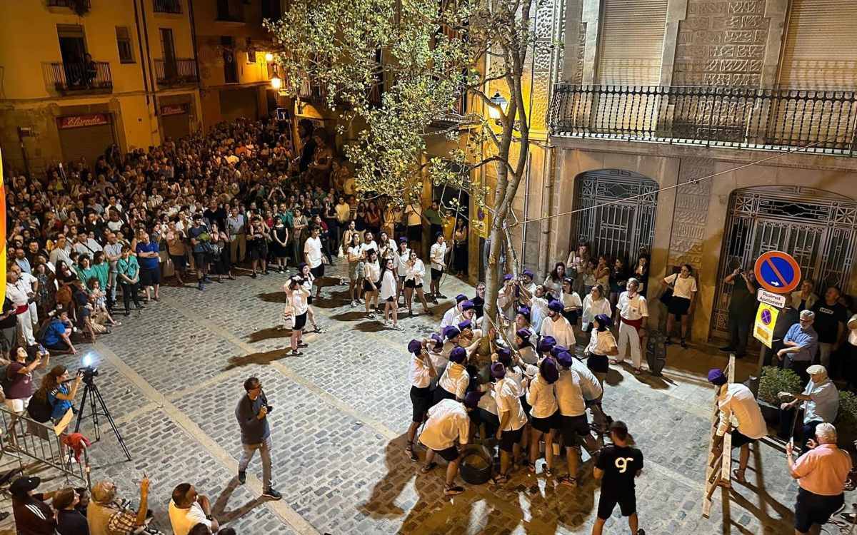 La plantada del xop, un dels actes estrella de la Festa Major de l'Espluga de Francolí