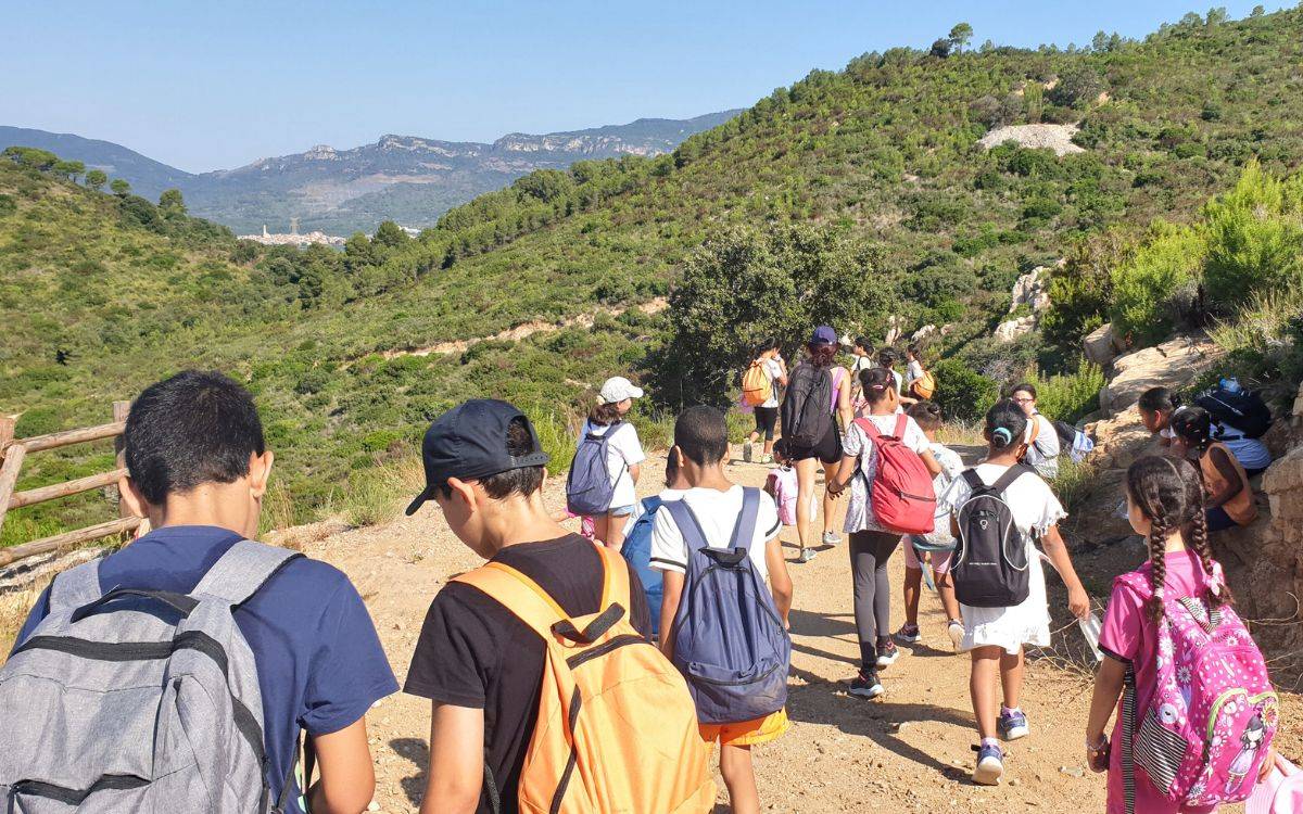 Les activitats són complementàries al programa de l`entitat. - Cedida Les activitats són complementàries al programa de l`entitat.