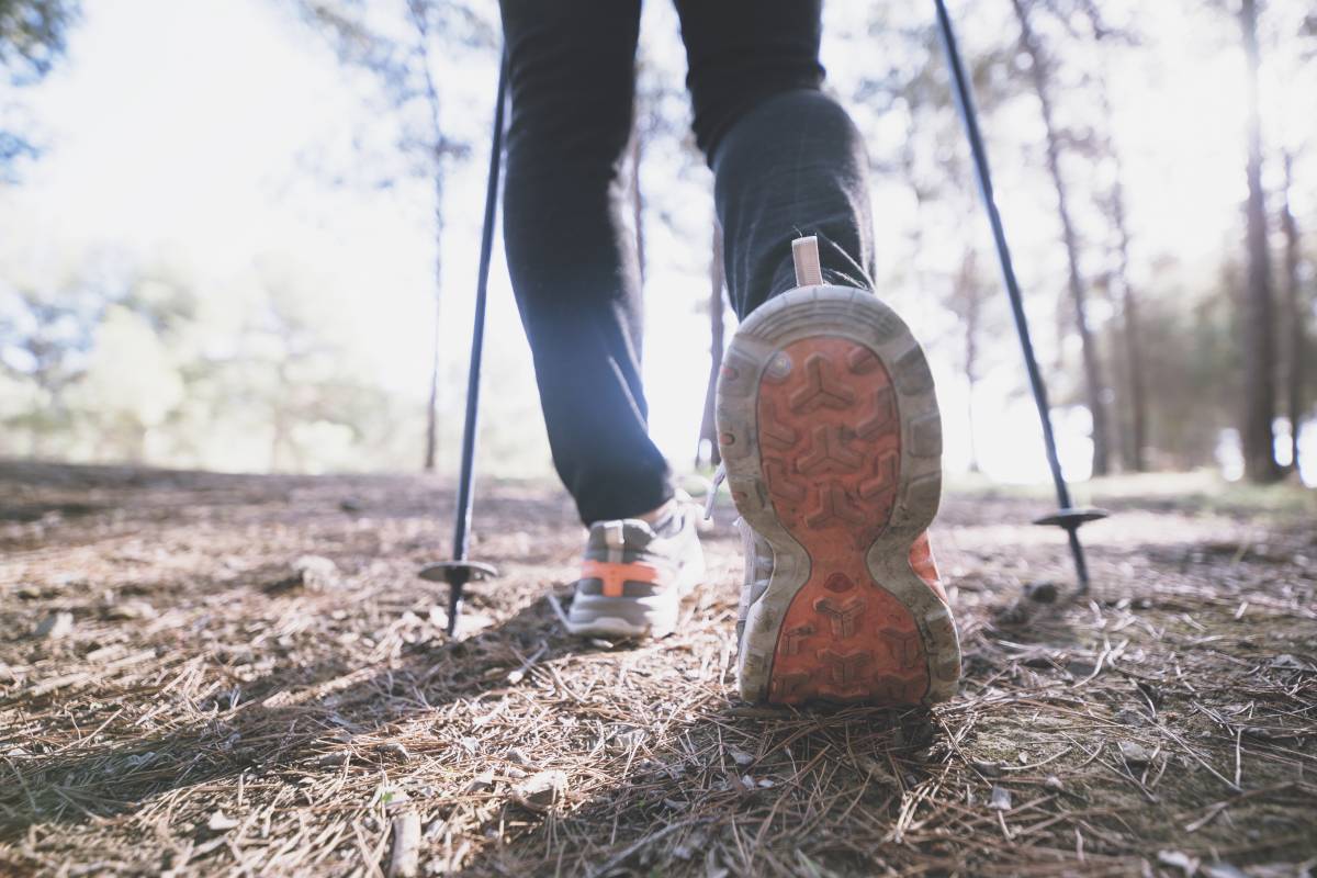Una persona caminant per un bosc - Una persona caminant per un bosc