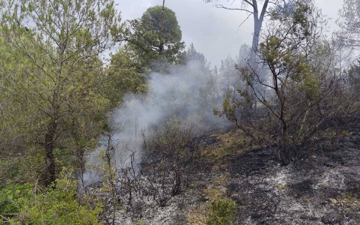 Es declara un incendi forestal a les Piles, a la Conca de Barberà