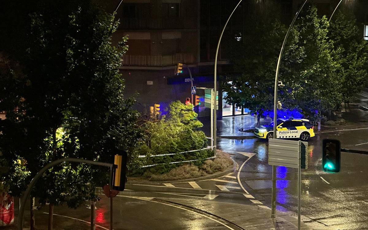 Un pi de la Bonavista cau sobre la Ben Plantada de Manresa durant la pluja d'aquest dimecres
