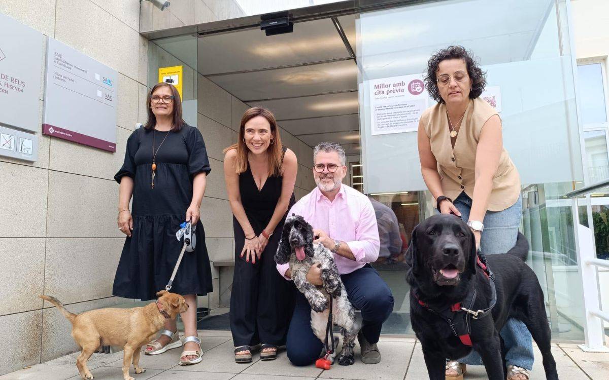 Reus adapta la normativa per entrar amb animals de companyia a les oficines d'atenció ciutadana