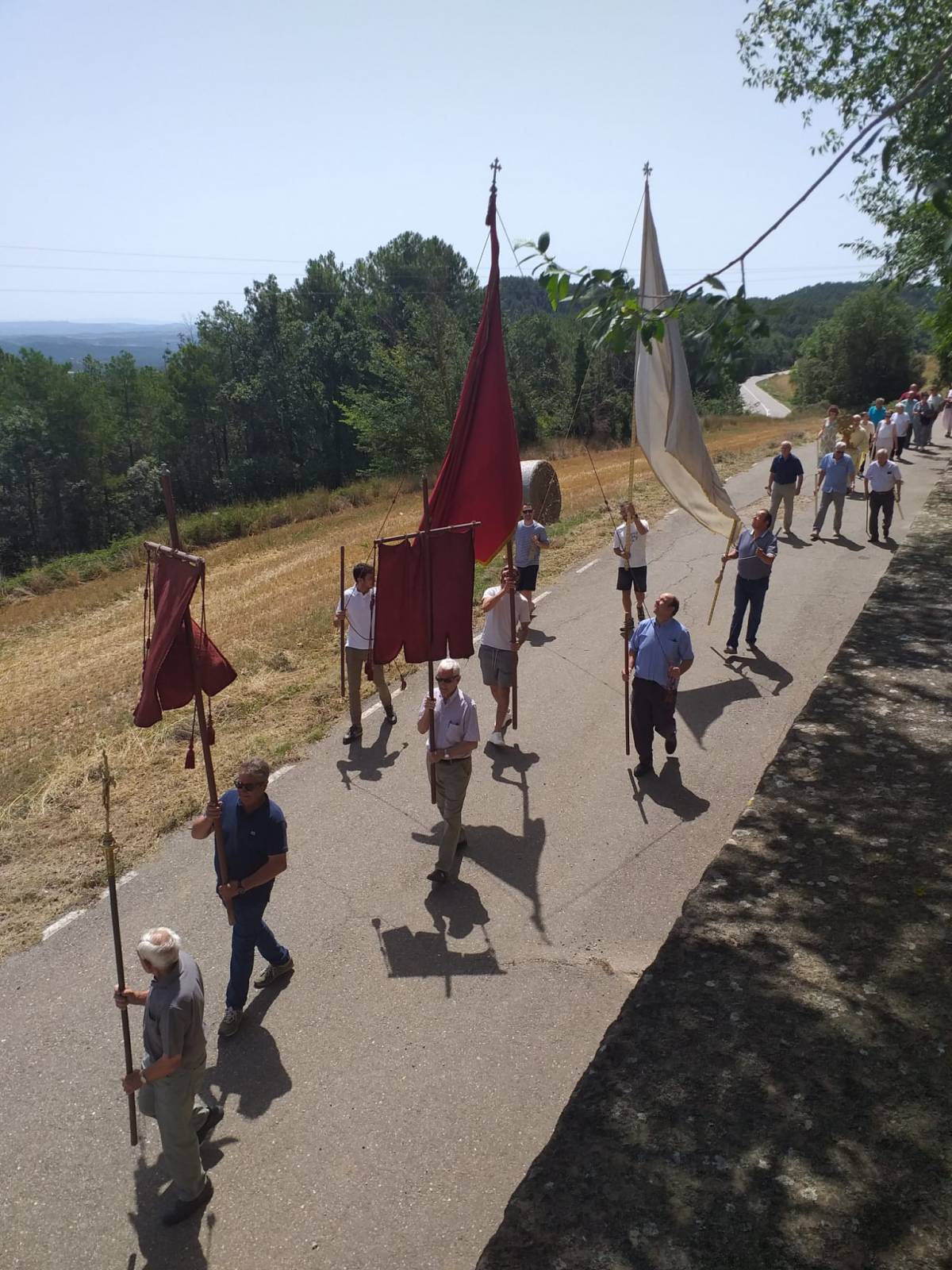 Processó de les banderes de Lladurs - Rous de Lladurs Processó de les banderes de Lladurs